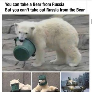 Meet your Posher, Nathan